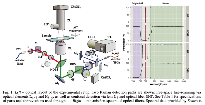 Optical layout of the experimental setup; two Raman detection paths are shown.