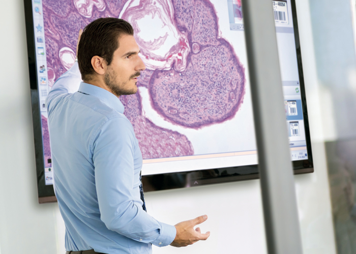 Education using digital pathology technology.