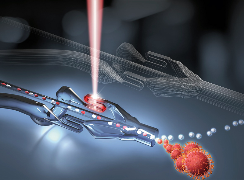 Structure of the sorting chip for sorting cells and particles with laser light. 