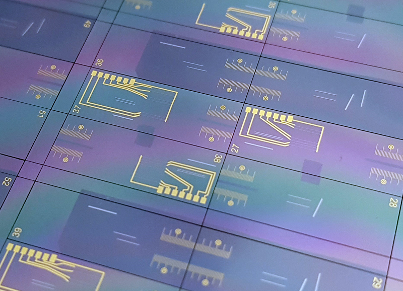 LXI and AMC have partnered to develop PIC-based OCT systems.