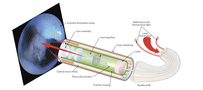 Multimode: reflectance and fluorescence
