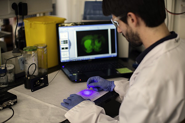 The Barcelona study provides the first example of a painkilling drug activated by light.