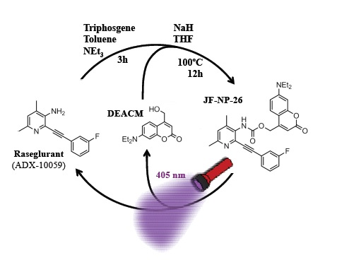 The drug is activated when illuminated at the correct wavelength by an optical fiber.