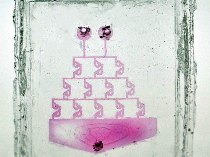 Small but perfectly formed: 3D-printed glass structures. 