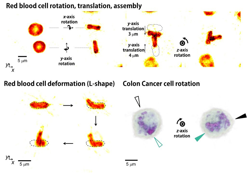 Research results: manipulation of cancer cells, blood cells and more.