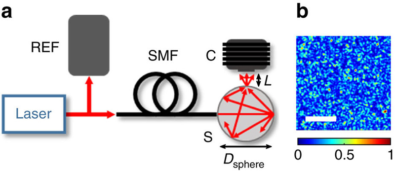 The new wavemeter experimental setup.