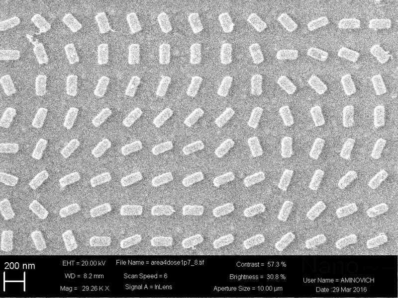 SEM image of the fabricated metasurface.