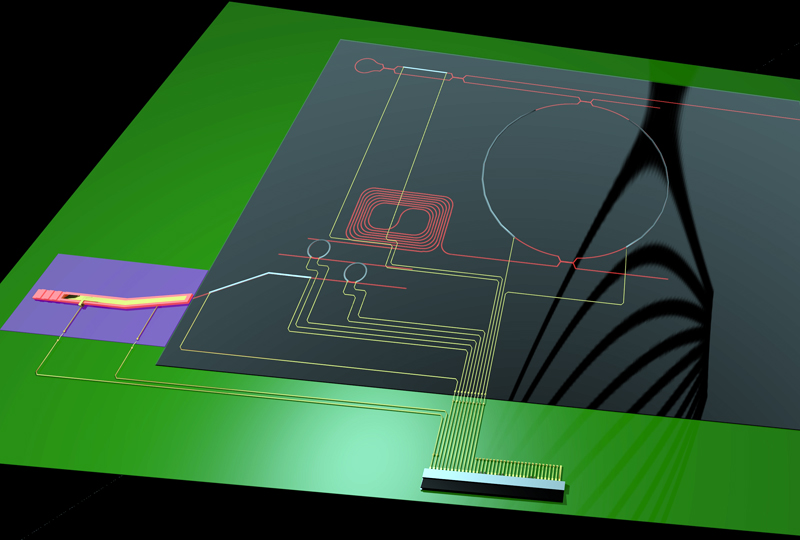 University of Twente's narrowband diode laser chip.