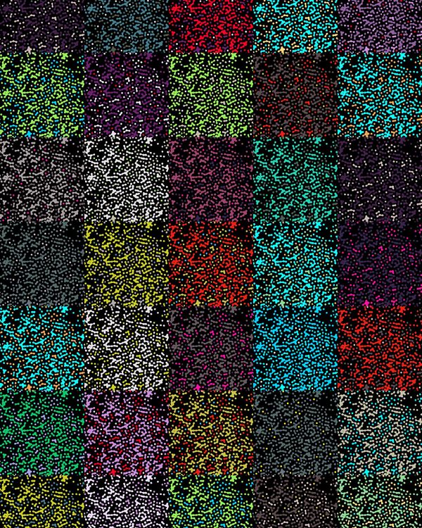 Retina cells: revealing their fundamental behavior