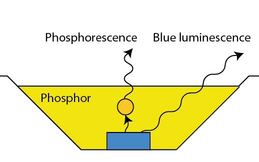 Cross section of a white LED.