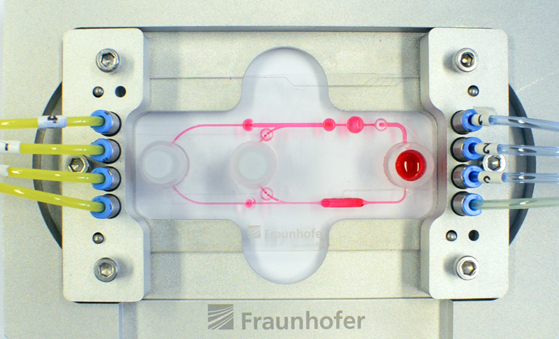 Laser-cut: multi-organ chip with pumps and valves (red dots) and organ chambers.