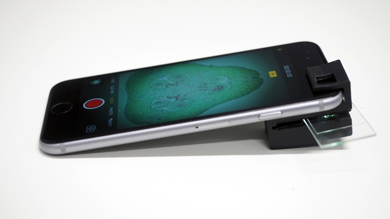 iPhone with clip-on microscope