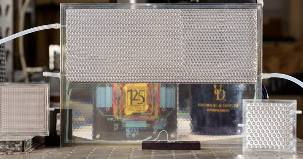 Opaque form (above) turns transparent when filled with index-matching fluid (below).