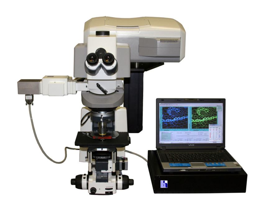 FLIM with a larger field of view