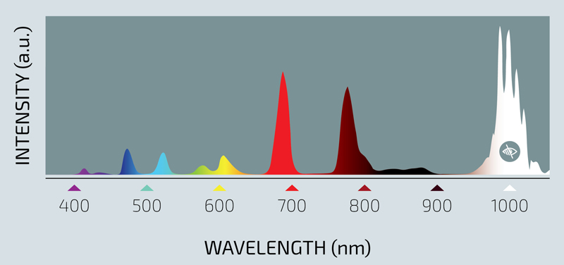 Metamaterial is made of an array of nanocylinders, producing 11 wavelengths.