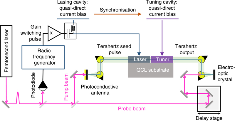 Experimental arrangement used for injection seeding of the coupled-cavity laser. 