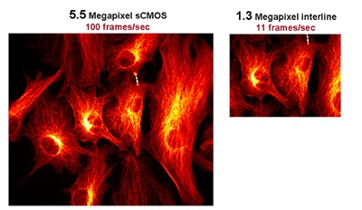 sCMOS vs CCD