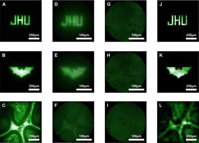 Imaging results from diverse sources, detailed in the study. Click for info. 