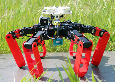 AntBot walks about and returns home using polarized light as a guide.