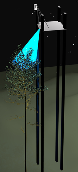 Measurement set-up for Scots pine.