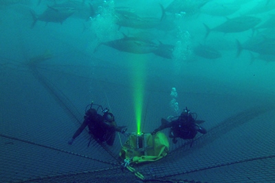 Range plus field of view in murky waters