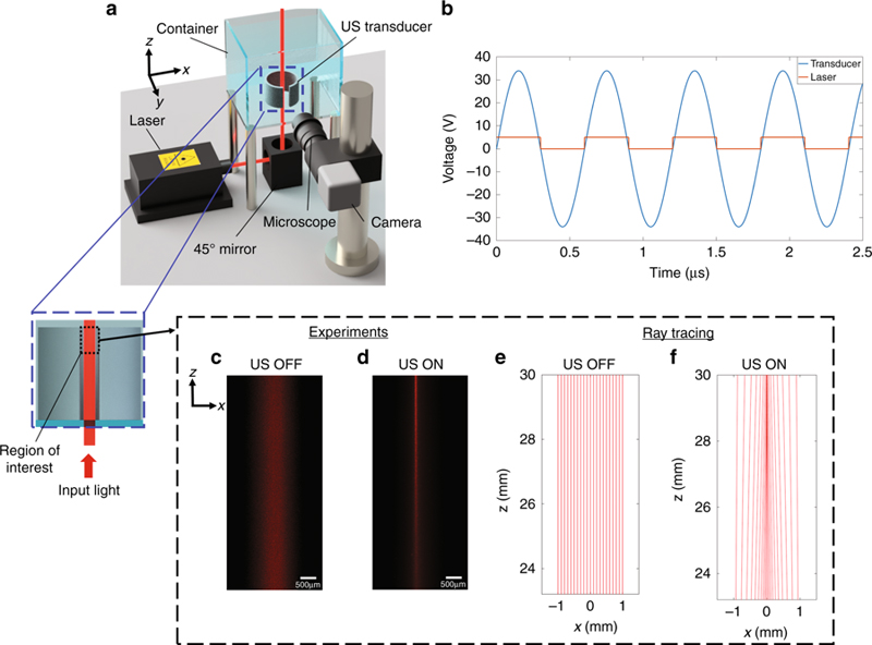 Schematic of the optical characterization setup; inset: region of interest for experiments.  b The pulsed laser is modulated in time to match the positive semi-period of the sinusoidal signal feeding the transducer.  c Experimental images of the laser beam when the ultrasonic transducer is off and (d) when it is turned on (fres = 832 kHz, V = 34 V). e, f Optical ray tracing simulations of the laser beam for the same frequency and voltages used for the experiments in c and d.