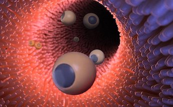 Fantastic voyage: drug delivery