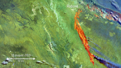 ... Fires spreading (plus smoke plumes)  on 18th August, 2019...