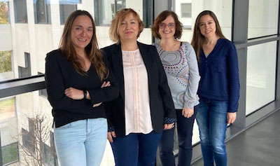 Laura Lechuga's group at ICN2