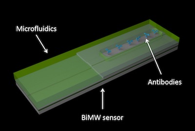 Optical test for Covid-19