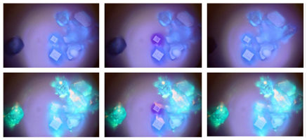 HKUST-1 metal-organic frameworks exhibit the optical switching potential.