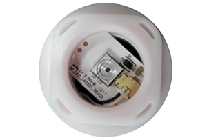 'Favorable demand for Violeds.'