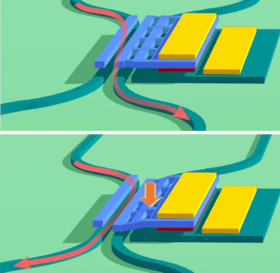 Light passing through the direction coupler before (up) and after (down) actuation.