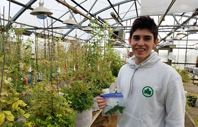 Research scientist Lee Sanchez with peanut plant samples. 