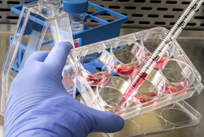 Multi Radiance Medical: Trial for Covid-19 treatment.