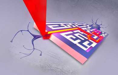 Lighting the path: cell growth