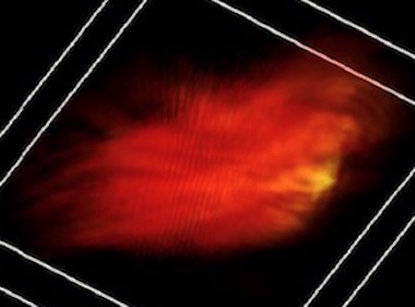 HOT topic: 3D imaging of cells