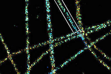 Expanded view: protein structures