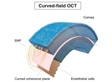 Curved image planes and larger field of view