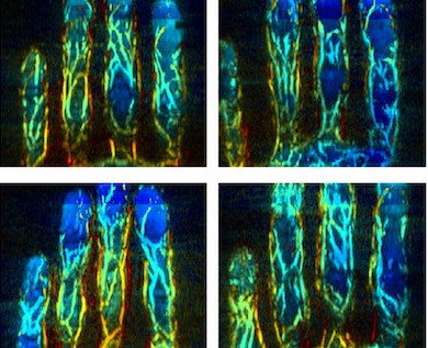 Identity confirmed via PAT