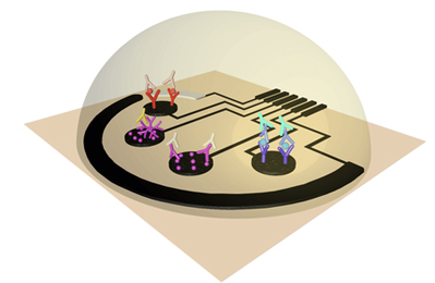 Sensor contains regions that each detect a different indicator of Covid-19 infection. 