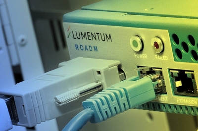 Diversification and vertical integration