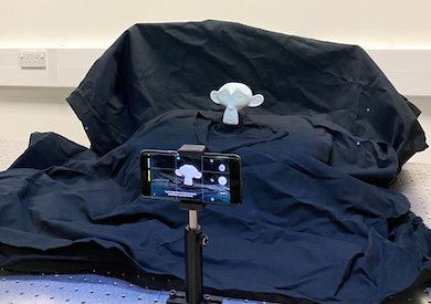 Monkey seen: imaging with overhead LEDs