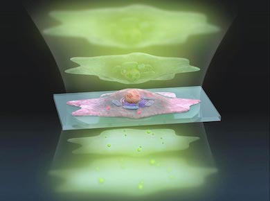 Seeing more detail: enhanced phase imaging