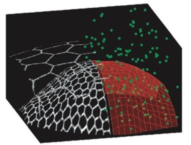 Use less light, do less harm