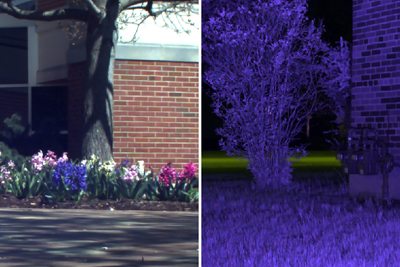 Night and day functionality: beneath the moon and under the sun.