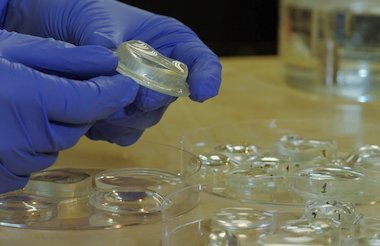 Solid progress: components up to 200 mm