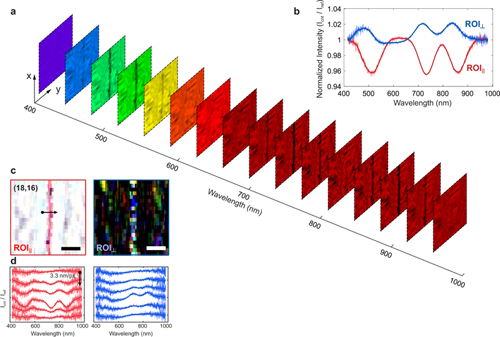 Slices from the hyperspectral data etc. Click for full explanation.