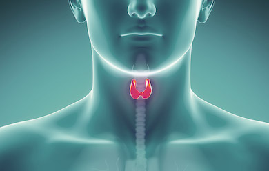 Diffuse optics and ultrasound combined