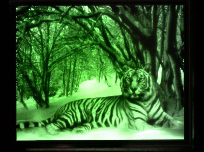 Kopin’s 35,000-nit OLED source is designed for AR displays.